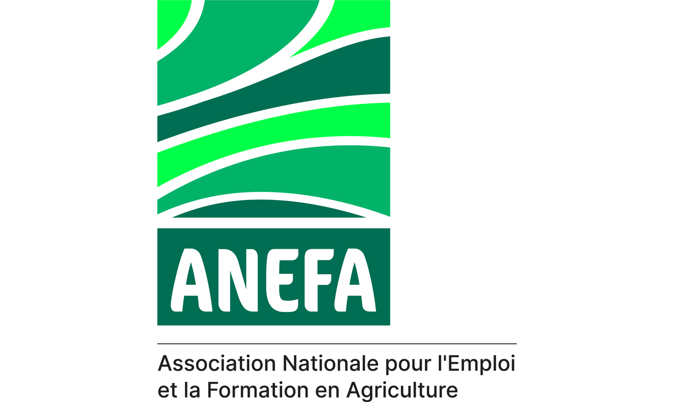 ANEFA